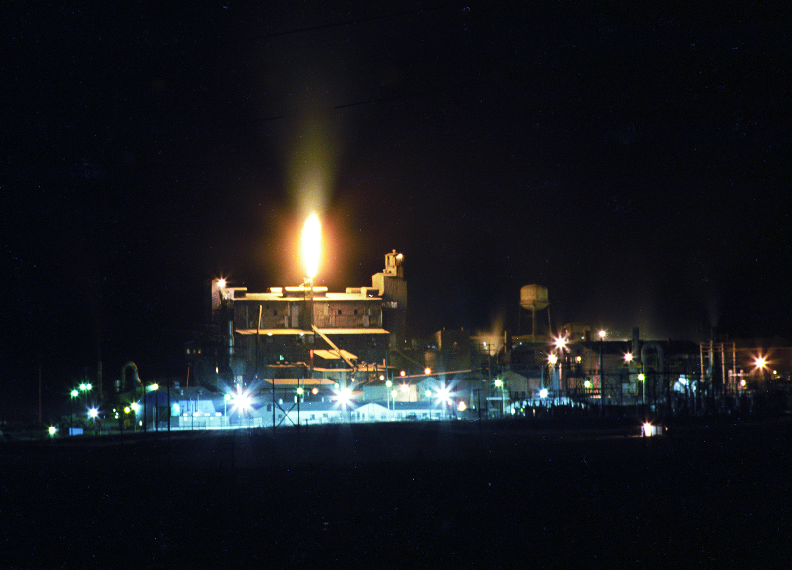 Works Canola tele